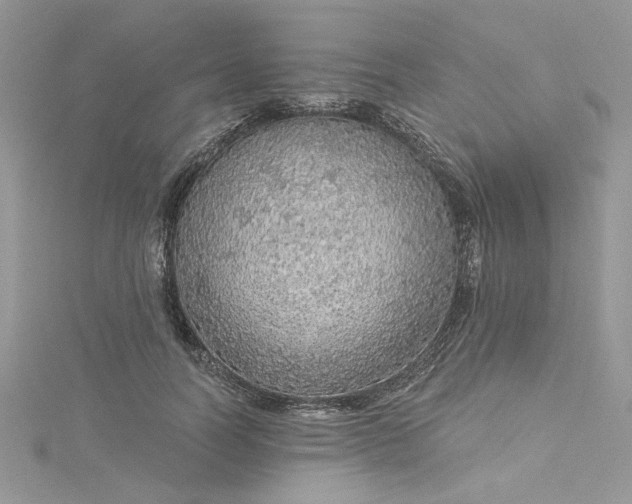 X0000115360746200911171352