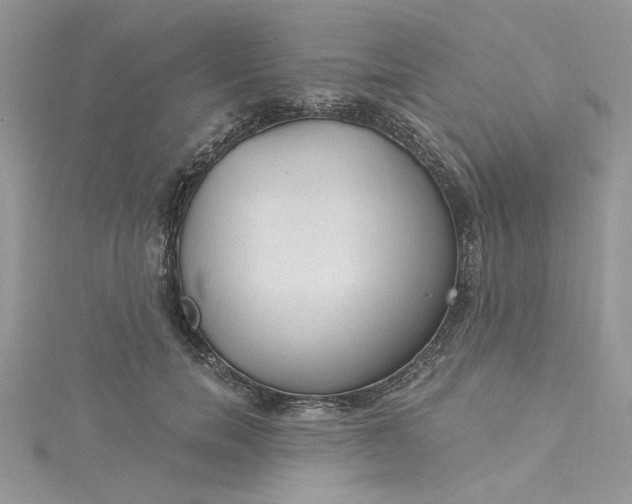 X0000115360750200911171352