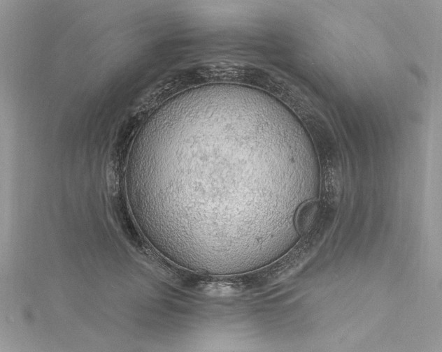X0000115360751200911171352