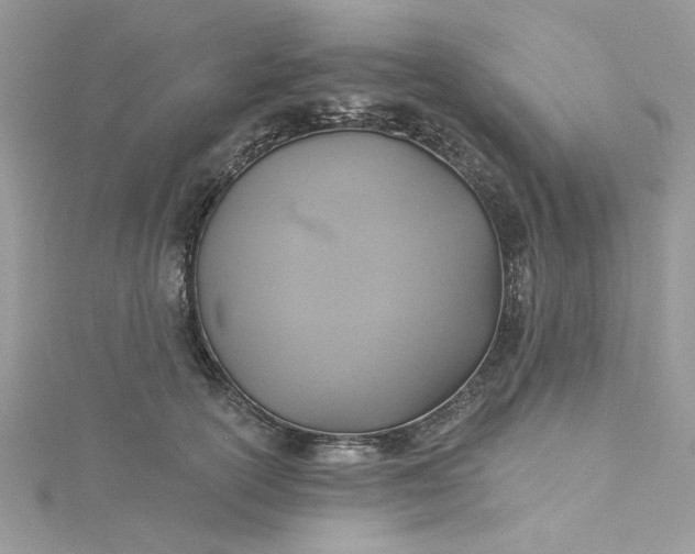 X0000115360754200911171352