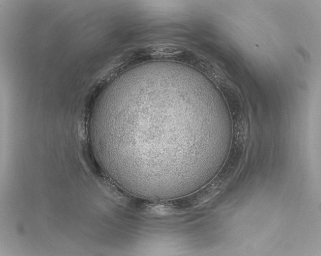 X0000115360755200911171352