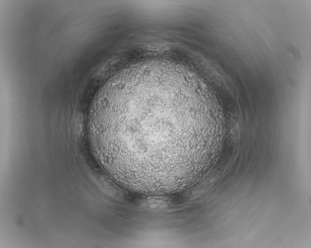 X0000115360758200911171352