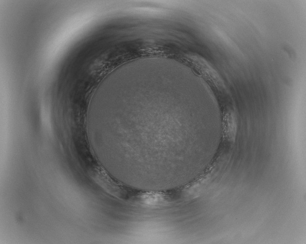 X0000115360762200911171352