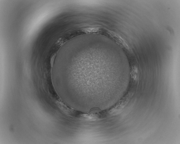 X0000115360763200911171352