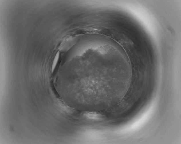 X0000115360767200911171352