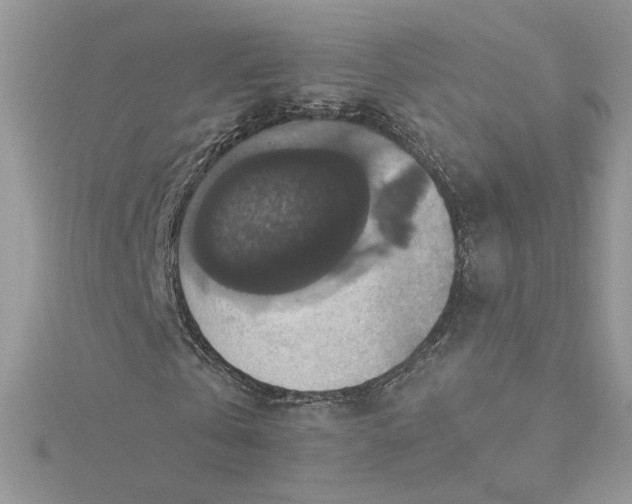X0000115360769200911171352