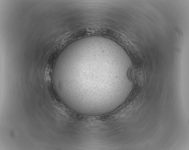 X0000115360770200911171352