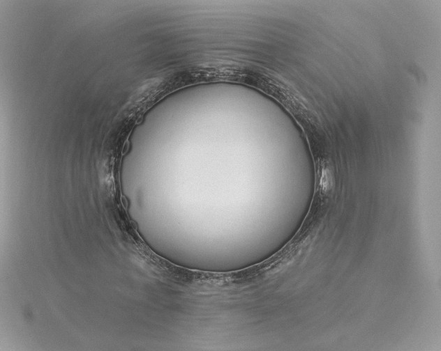 X0000115360771200911171352