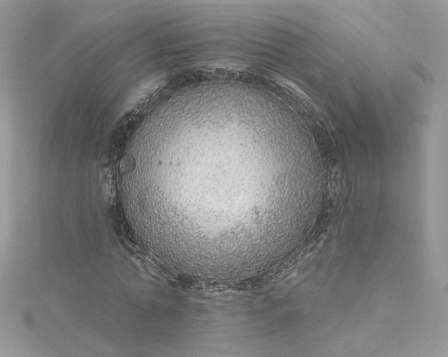 X0000115360774200911171352