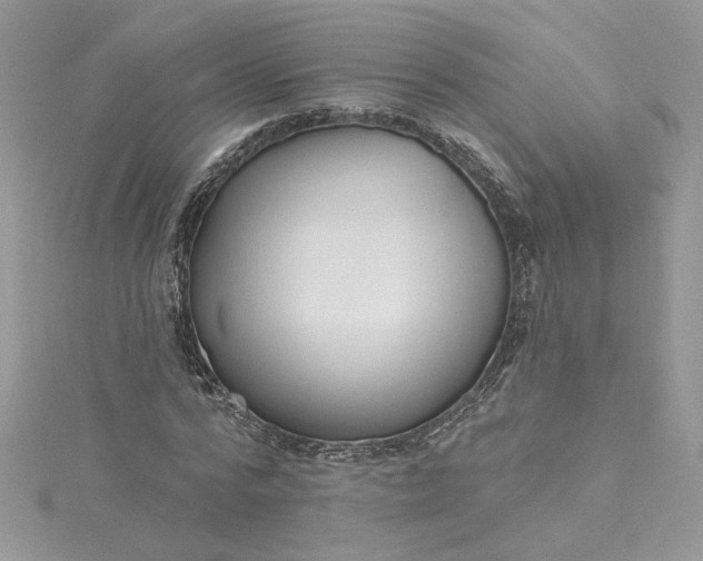 X0000115360776200911171352