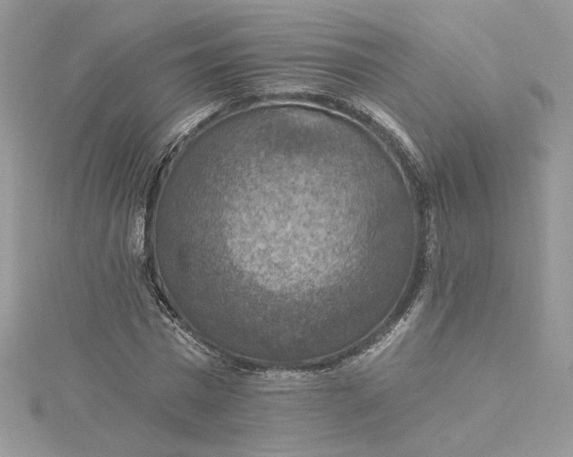X0000115360777200911171352