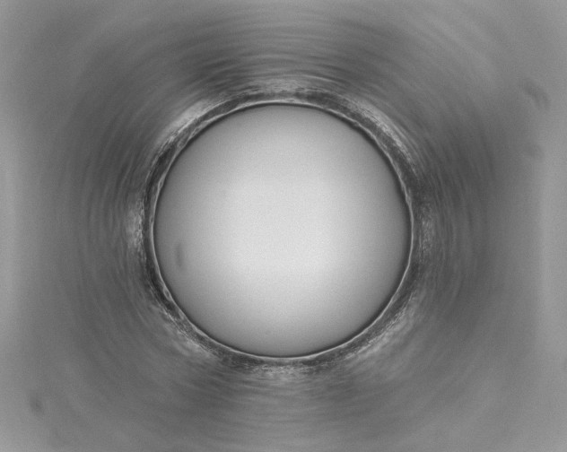X0000115360778200911171352