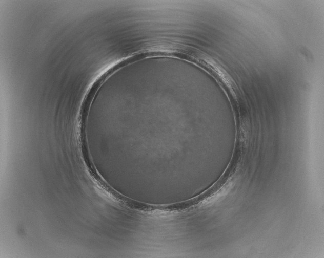 X0000115360779200911171352