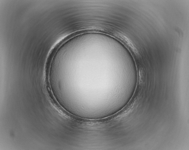 X0000115360780200911171352