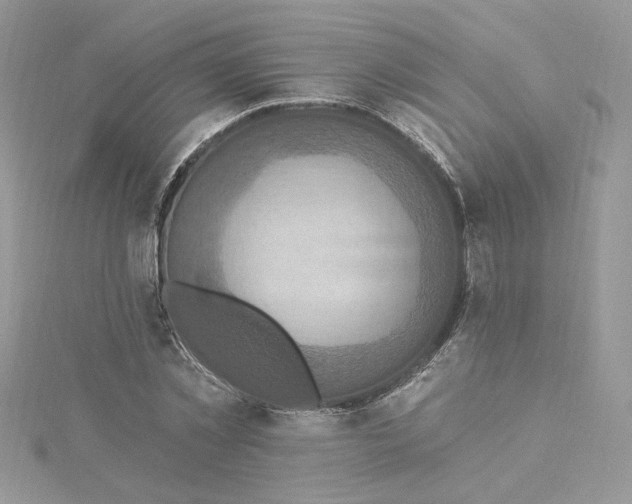 X0000115360781200911171352