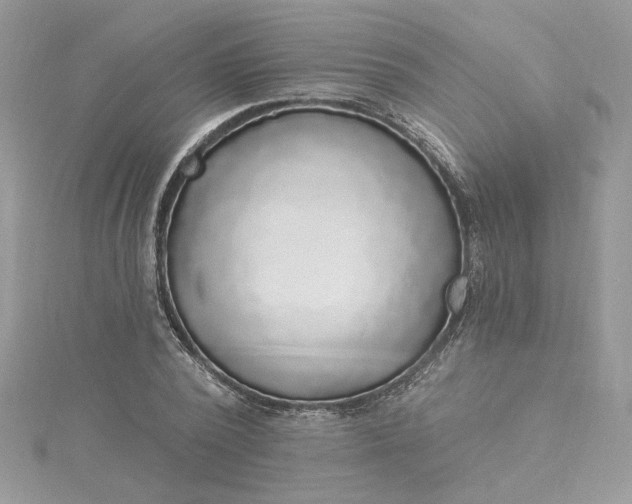 X0000115360784200911171352
