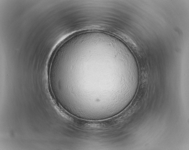 X0000115360792200911171352