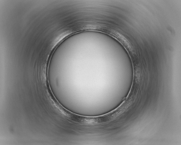 X0000115360794200911171351