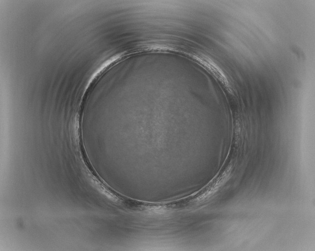X0000115360798200911171351