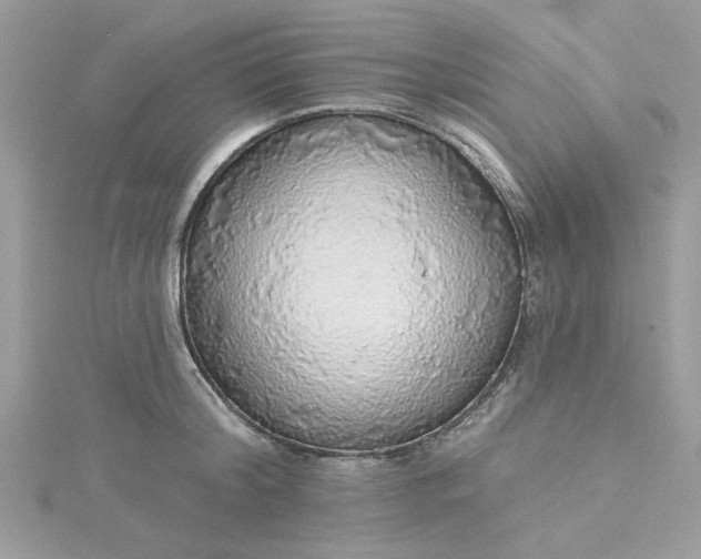 X0000115360804200911171351