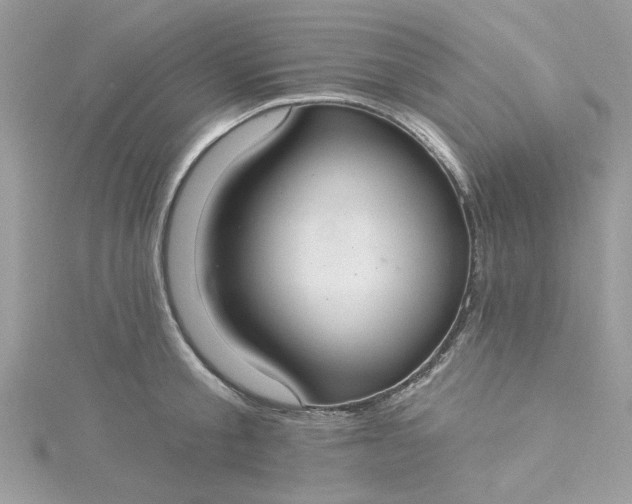 X0000115360805200911171351