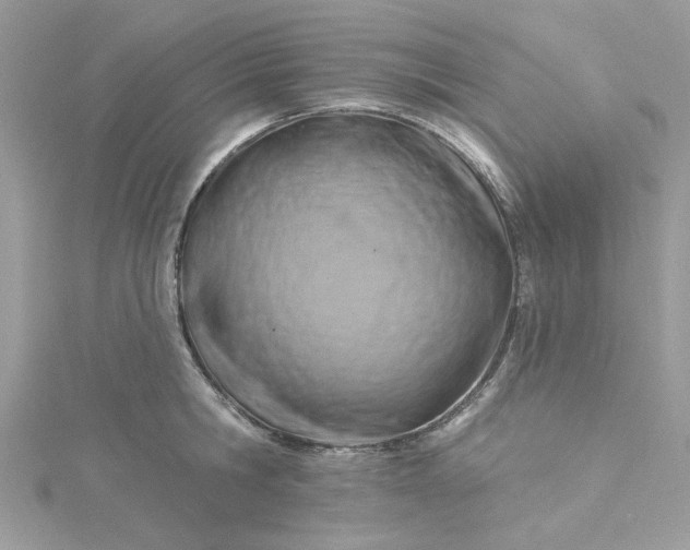 X0000115360806200911171351
