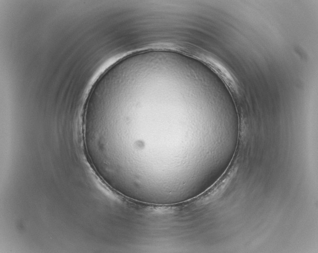 X0000115360808200911171351