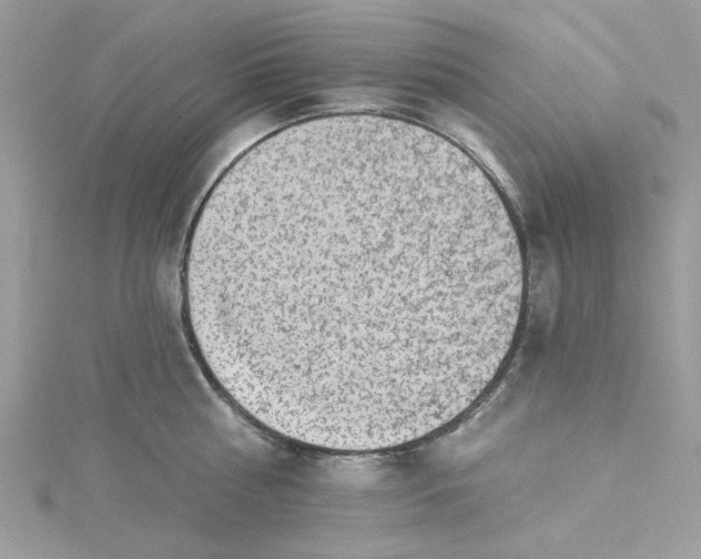 X0000115360810200911171351