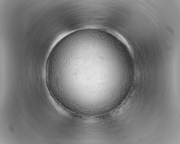 X0000115360811200911171351