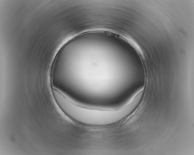 X0000115360813200911171351