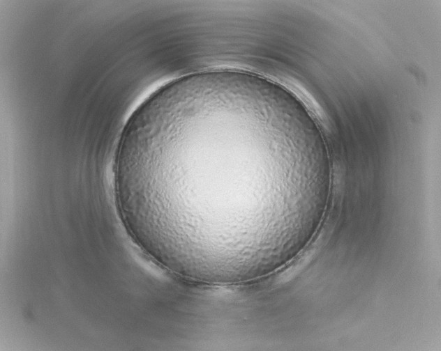 X0000115360814200911171351