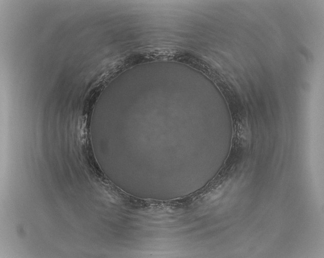 X0000115360818200911171351