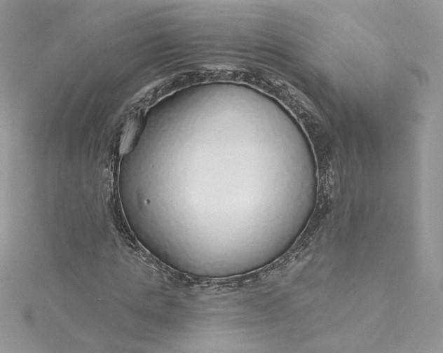 X0000115360821200911171351