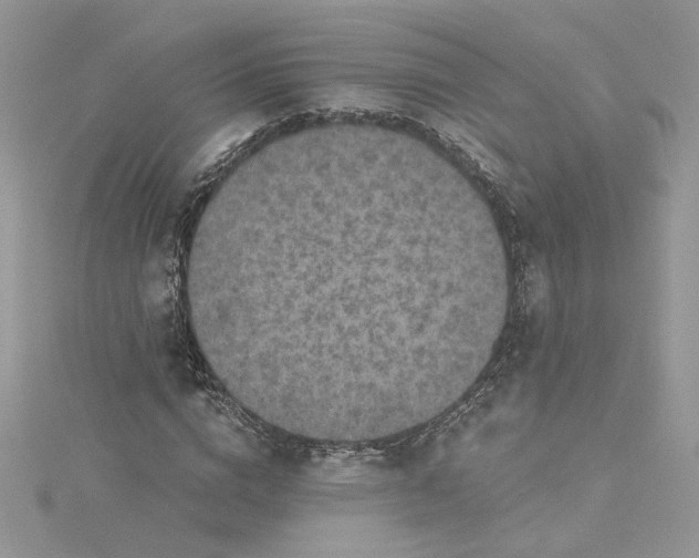 X0000115360824200911171351