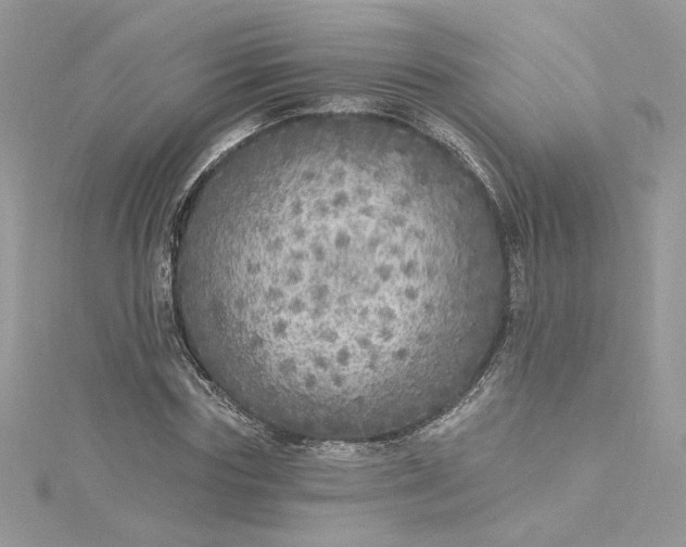 X0000115360827200911171351