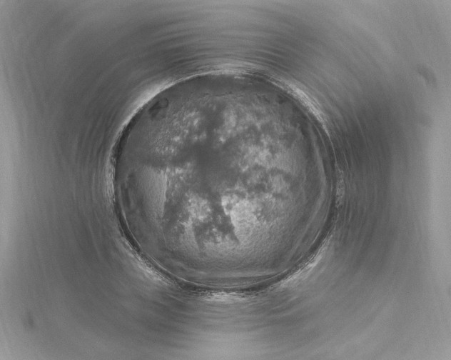 X0000115360835200911171351