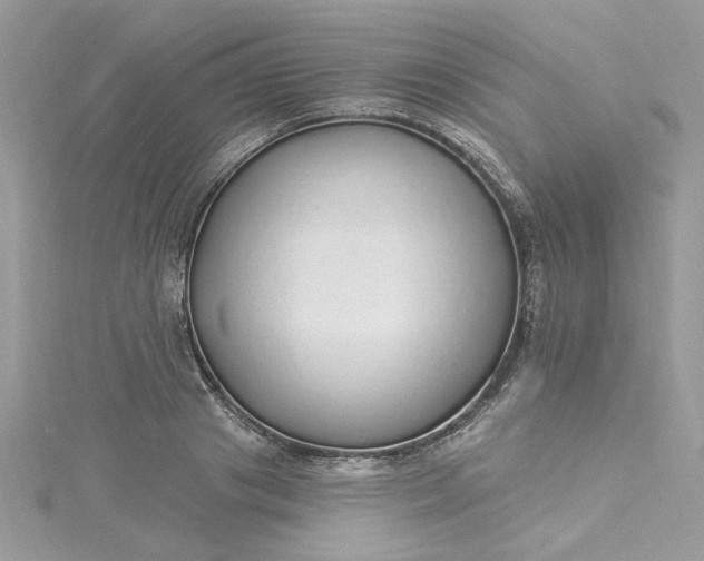 X0000115360841200911171351