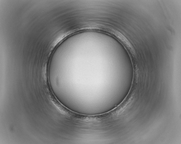 X0000115360842200911171351