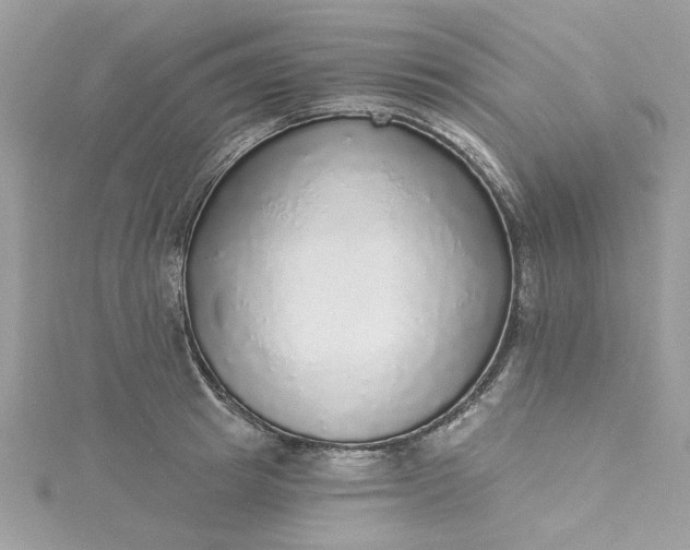 X0000115360849200911171351