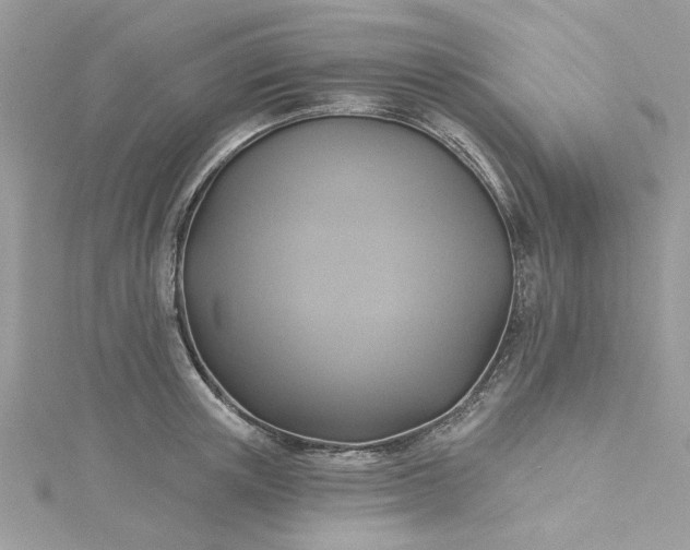 X0000115360851200911171351