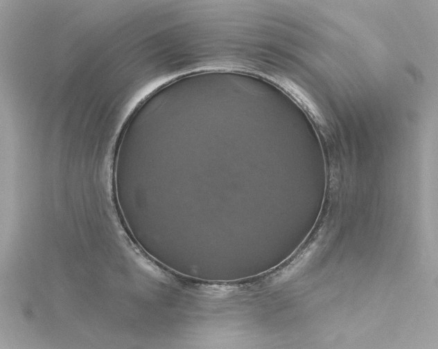 X0000115360854200911171351