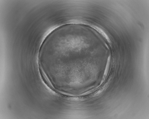 X0000115360855200911171351