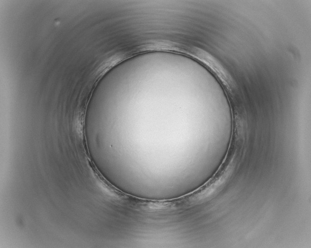 X0000115360857200911171351