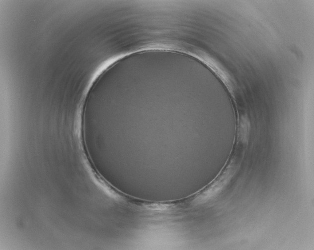 X0000115360862200911171351