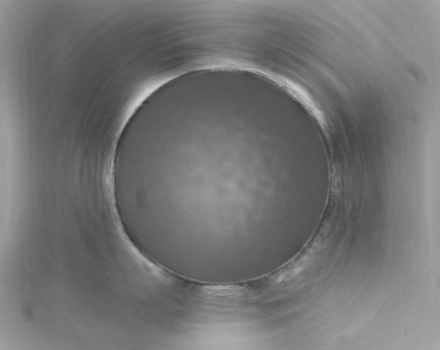X0000115360863200911171351
