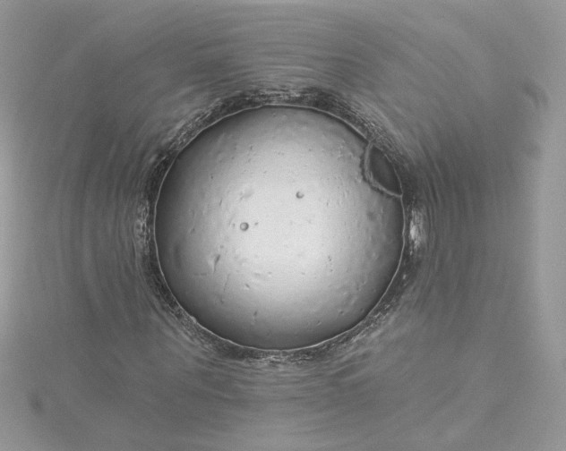 X0000115360867200911171351