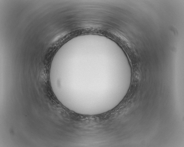 X0000115360869200911171351