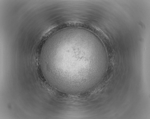 X0000115360870200911171351