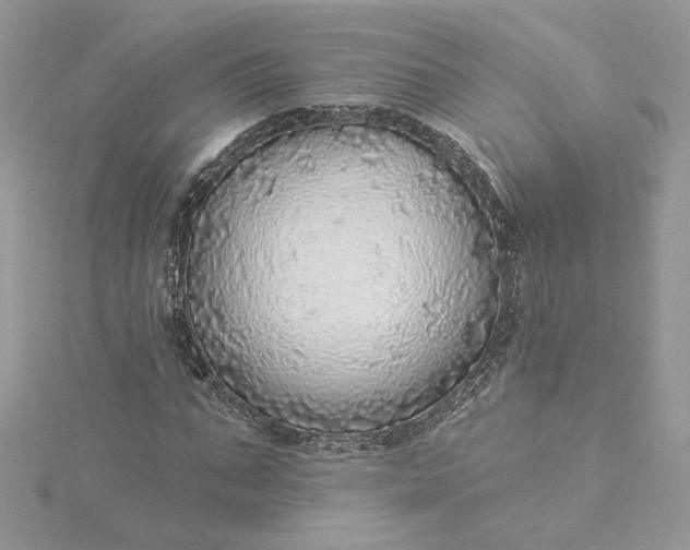 X0000115360871200911171350