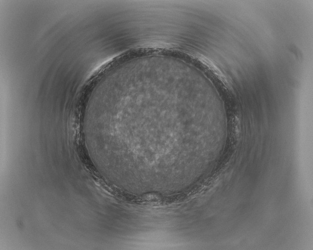 X0000115360872200911171350